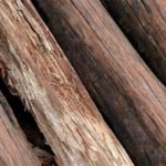 Análisis de baston de madera africano para comprar de forma barata