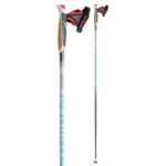 Selección de baston de ski axalko en promoción