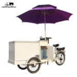 Catálogo de triciclos eléctricos con parasol adultos en promoción